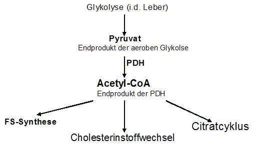 Glycoloyse